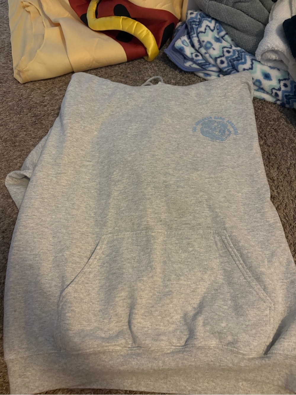 Light Gray Pullover Hoodie with Subtle Blue Chest Logo